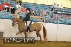 15YN_24376 thumbnail