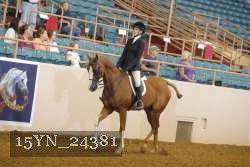 15YN_24381 thumbnail