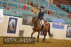 15YN_24556 thumbnail