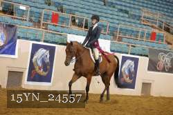 15YN_24557 thumbnail