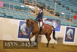 15YN_24558 thumbnail