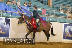 15YN_24574 thumbnail