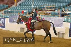 15YN_24576 thumbnail