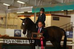 15YN_31412 thumbnail