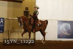 15YN_11222 thumbnail