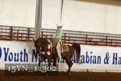 15YN_11302 thumbnail