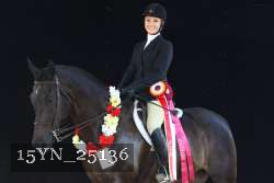 15YN_25136 thumbnail