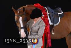 15YN_25351 thumbnail