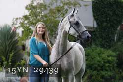 15YN_29439 thumbnail