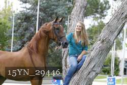 15YN_29446 thumbnail