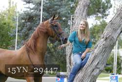 15YN_29447 thumbnail