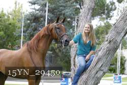 15YN_29450 thumbnail