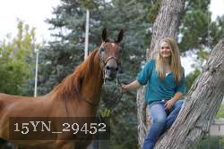 15YN_29452 thumbnail