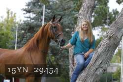 15YN_29454 thumbnail