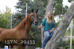 15YN_29455 thumbnail