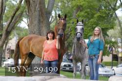 15YN_29490 thumbnail
