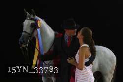 15YN_33783 thumbnail