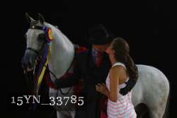 15YN_33785 thumbnail