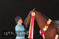 15YN_04894 thumbnail