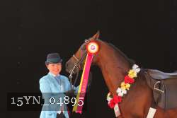 15YN_04895 thumbnail