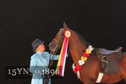 15YN_04896 thumbnail