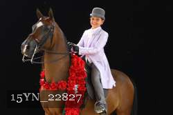15YN_22827 thumbnail