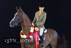 15YN_10706 thumbnail