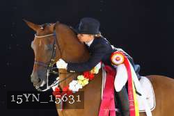 15YN_15631 thumbnail
