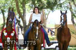 15YN_31775 thumbnail