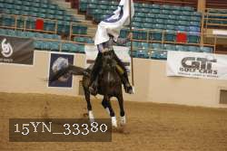 15YN_33380 thumbnail