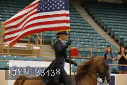 15YN_33438 thumbnail