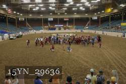 15YN_29636 thumbnail
