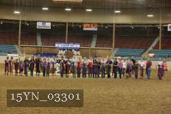 15YN_03301 thumbnail