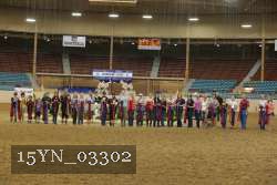 15YN_03302 thumbnail