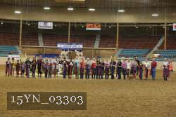15YN_03303 thumbnail