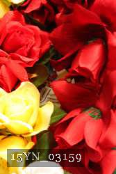 15YN_03159 thumbnail