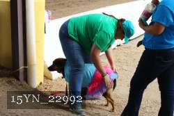 15YN_22992 thumbnail