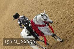 15YN_29659 thumbnail