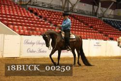 18BUCK_00250 thumbnail
