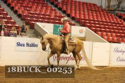 18BUCK_00253 thumbnail