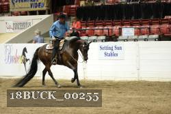 18BUCK_00255 thumbnail