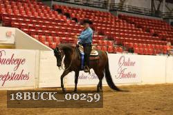 18BUCK_00259 thumbnail
