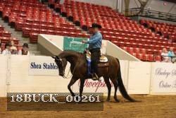 18BUCK_00261 thumbnail