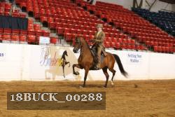18BUCK_00288 thumbnail