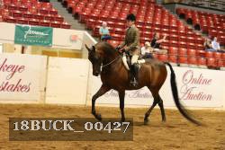 18BUCK_00427 thumbnail