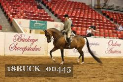 18BUCK_00445 thumbnail