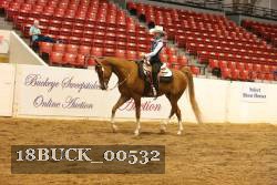 18BUCK_00532 thumbnail