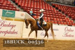 18BUCK_00536 thumbnail