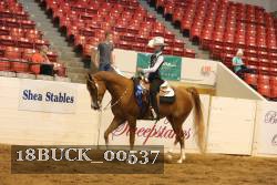 18BUCK_00537 thumbnail