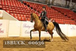 18BUCK_00636 thumbnail